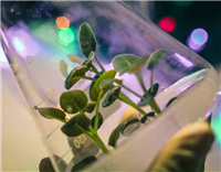 Bộ môn Công nghệ sinh học, 20 năm trưởng thành và lớn mạnh