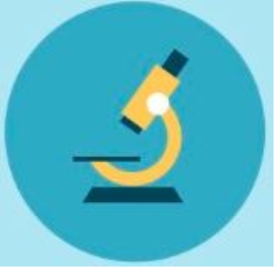 Bộ môn CN Sinh học