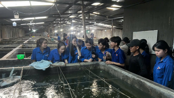 HÀNH TRÌNH TRẢI NGHIỆM KẾT HỢP HƯỚNG NGHIỆP: MỘT NGÀY BƯỚC RA KHỎI GIẢNG ĐƯỜNG ĐẦY CẢM HỨNG CỦA SINH VIÊN K67CNSH.MP & K67CNSH.