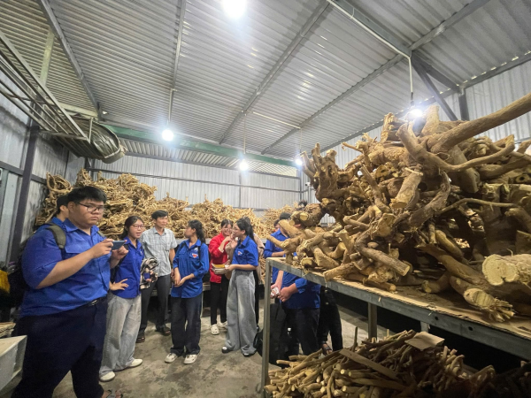 HÀNH TRÌNH TRẢI NGHIỆM KẾT HỢP HƯỚNG NGHIỆP: MỘT NGÀY BƯỚC RA KHỎI GIẢNG ĐƯỜNG ĐẦY CẢM HỨNG CỦA SINH VIÊN K67CNSH.MP & K67CNSH.