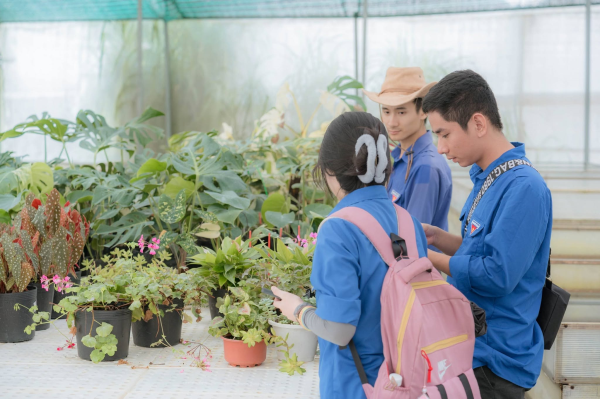 Hành trình chạm đến công nghệ xanh tại thành phố Đà Lạt ngàn hoa 
