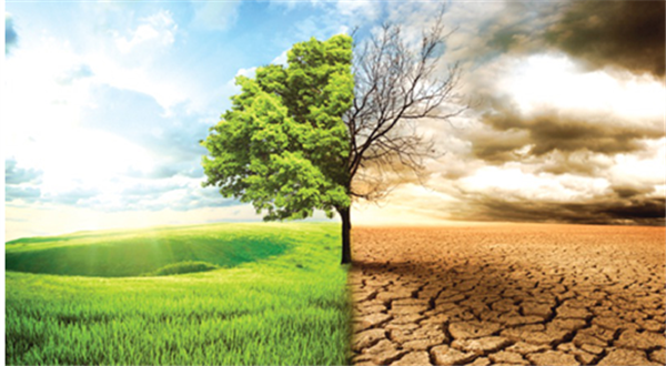 Biến đổi khí hậu ảnh hưởng đến an ninh lương thực như thế nào?