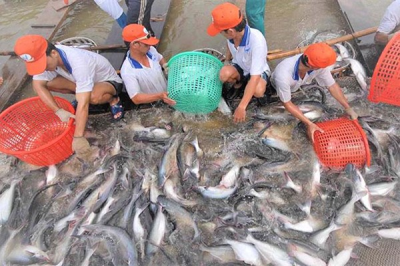 Ứng dụng công nghệ sinh học trong chế biến thuỷ sản