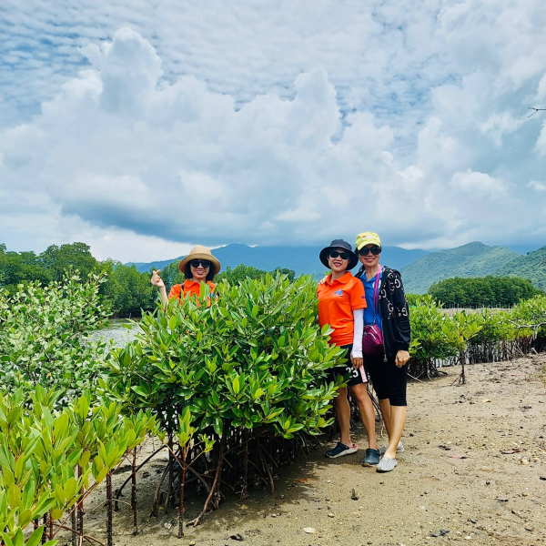 Chung tay trồng rừng ngập mặn tại Ninh Ích, Ninh Hòa Khánh Hòa